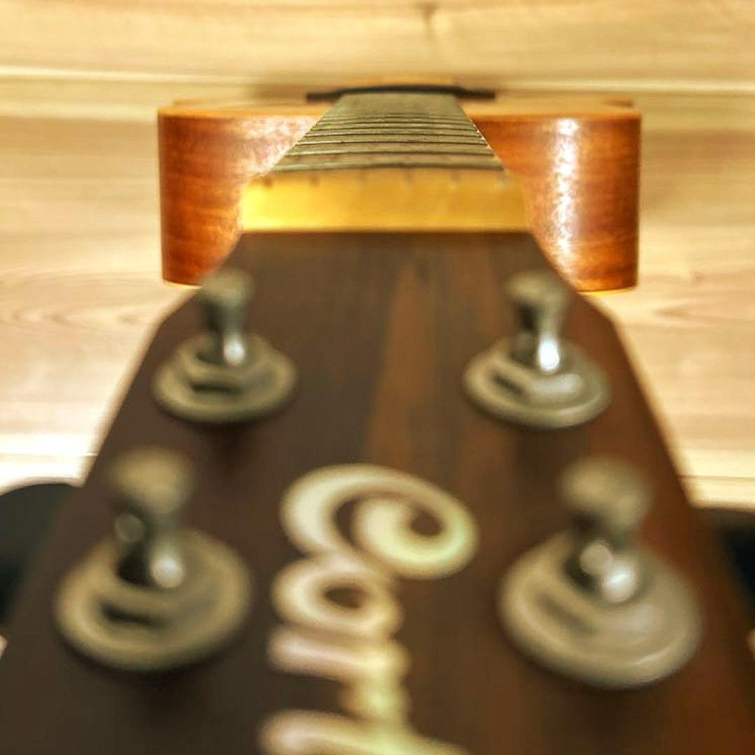 ギター cort Earth MINI