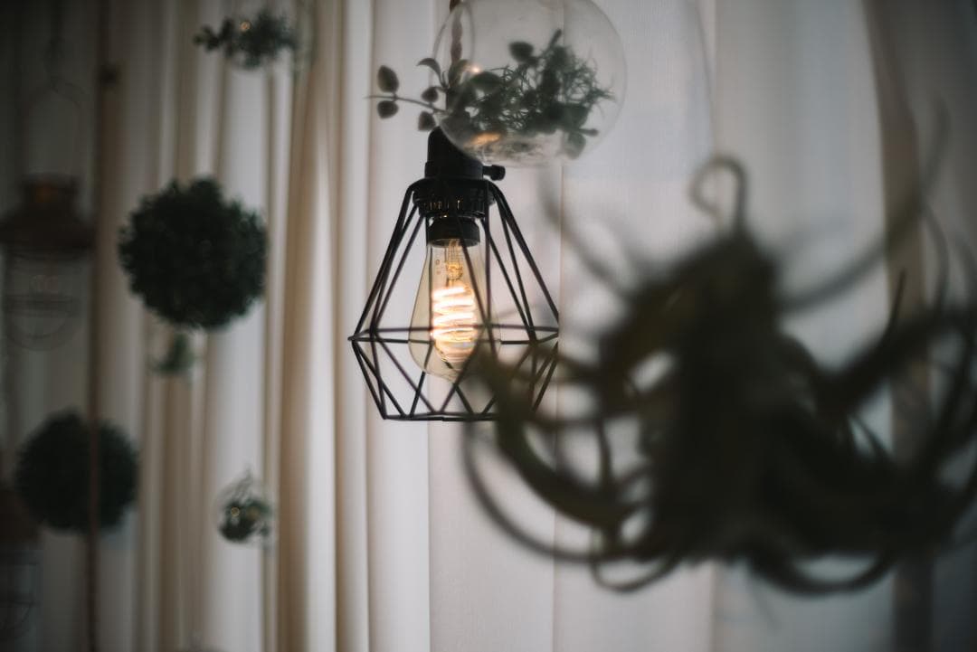 F1.2の壁！Nikkor-s Auto 55mm F1.2 オールドレンズ