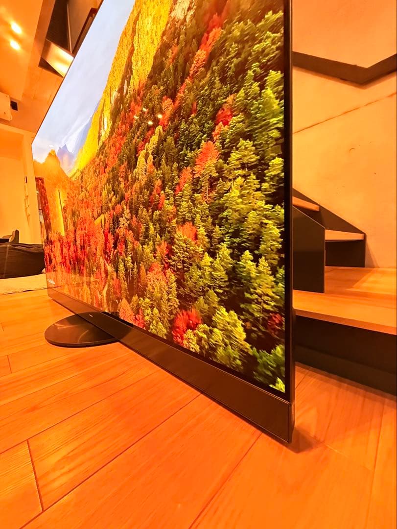 Ykryptnite様 Panasonic2023年65型TH-65MZ2500