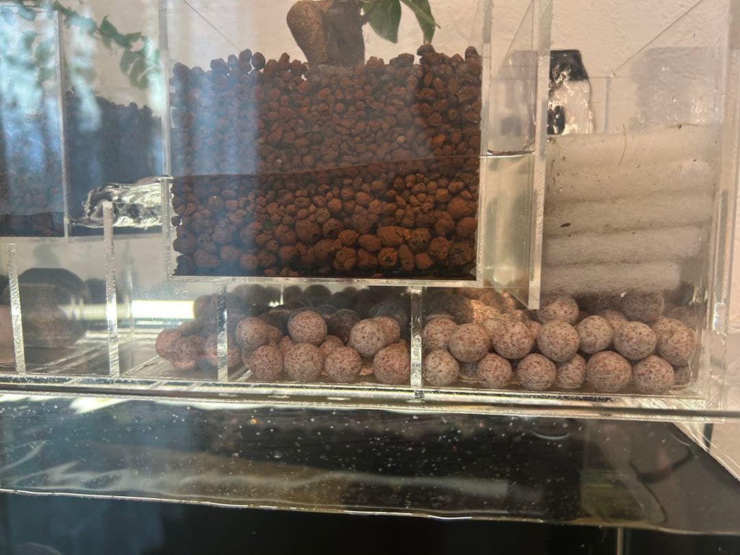 上部濾過式アクアポニックス水槽セット