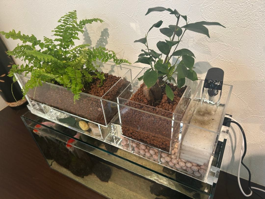 上部濾過式アクアポニックス水槽セット
