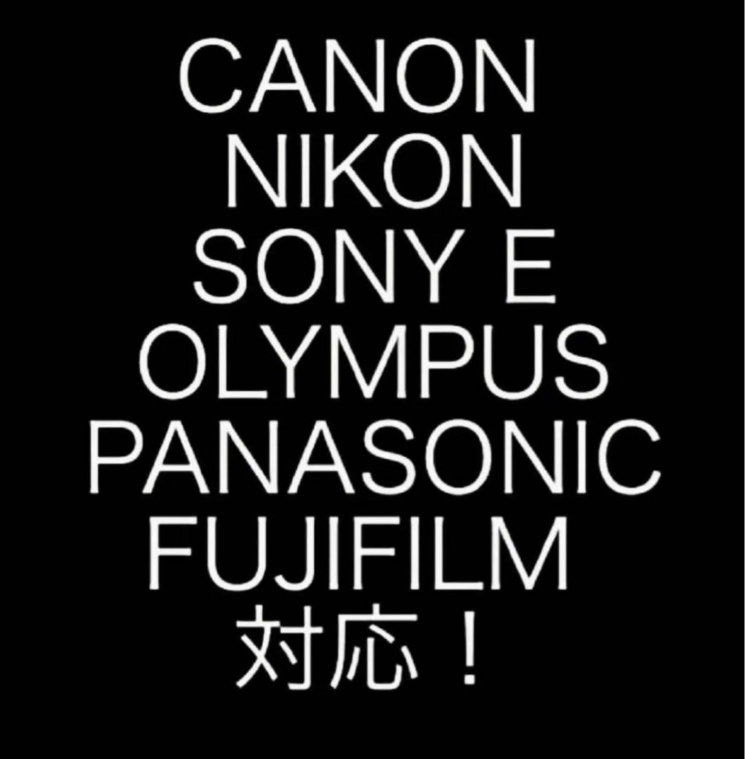 フラッシュ2灯+リモコン！遠隔フラッシュ撮影セット！各社対応！初心者OK！簡単！