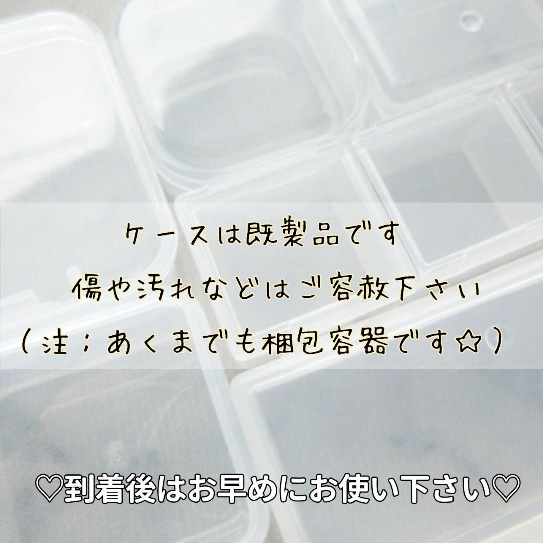 ResinArt❁NICOLE❁様◆【ドライフラワー】かすみ草の蕾 着色（846
