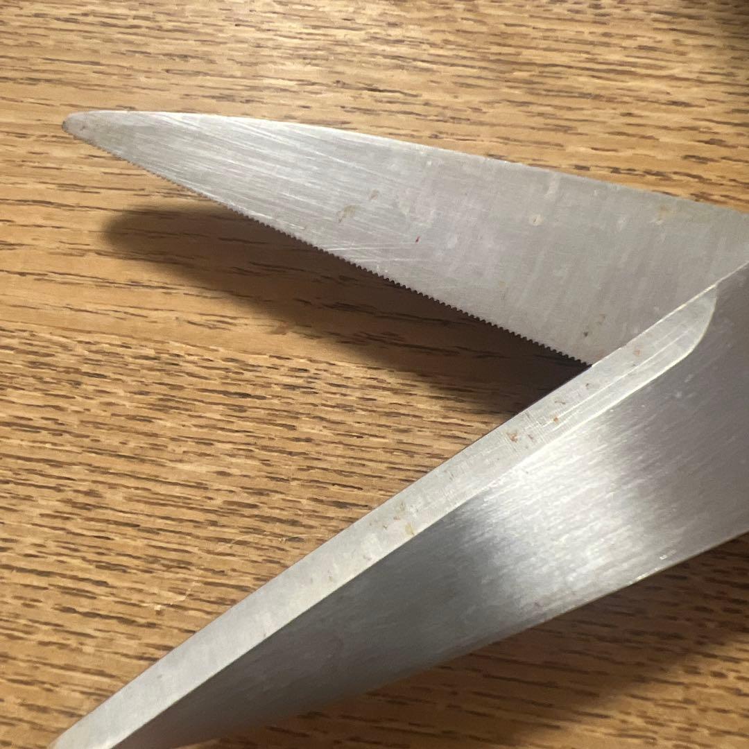 BUCK ステンレススチール はさみ レザーケース付き