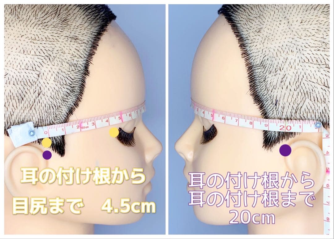 sページ
