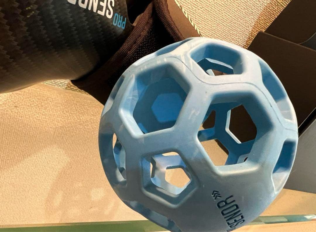 【ぽち】Pro SENOR プロセンダー　ゴルフスイング練習用具 セット