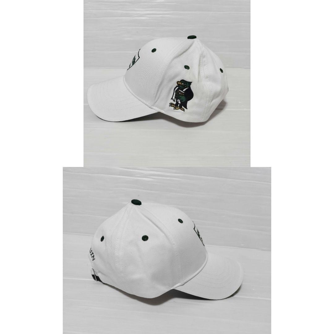 青山学院大学　キャップ　3点セット　内2点野球部関係