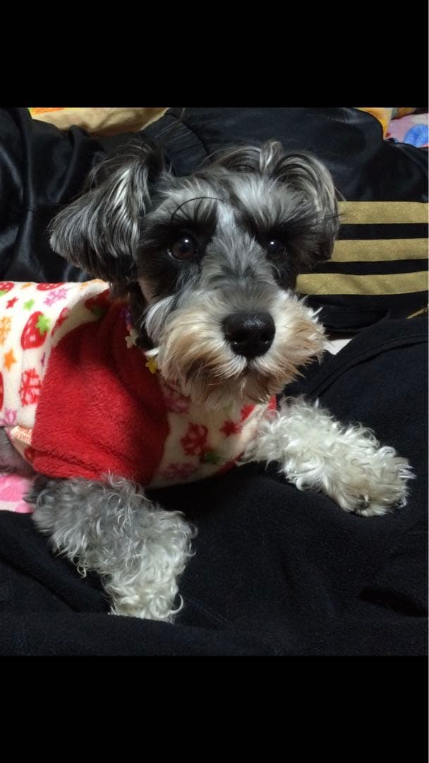 miniさま  確認用　その②