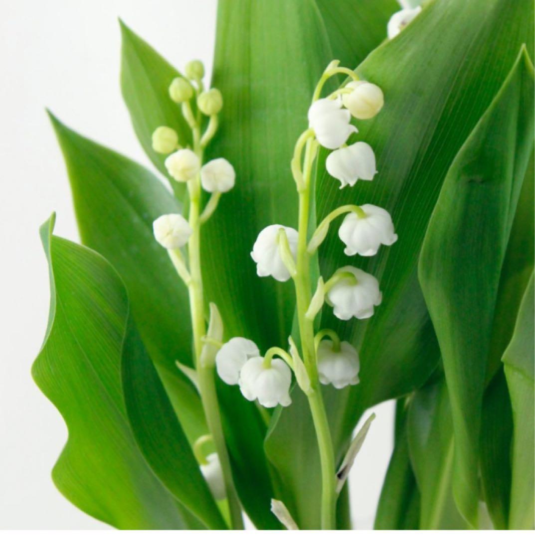 《ヴィンテージ 》ジイガントフタ スウェーデン北欧 【スズラン陶板】壁飾り