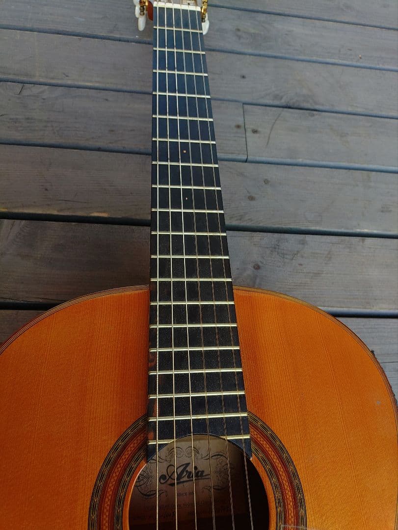 アコースティック ギター アリア A-100F フラメンコギター