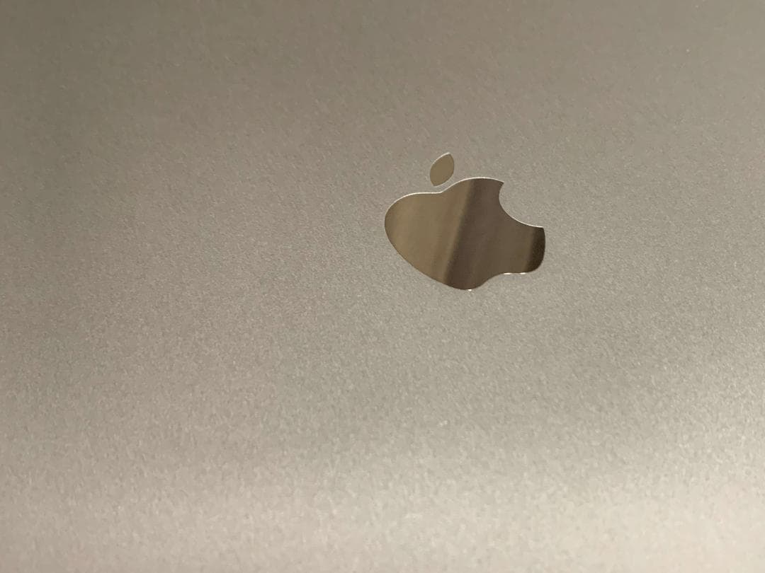 iPad Pro 12.9インチ第3世代 Wi-Fiモデル512GB