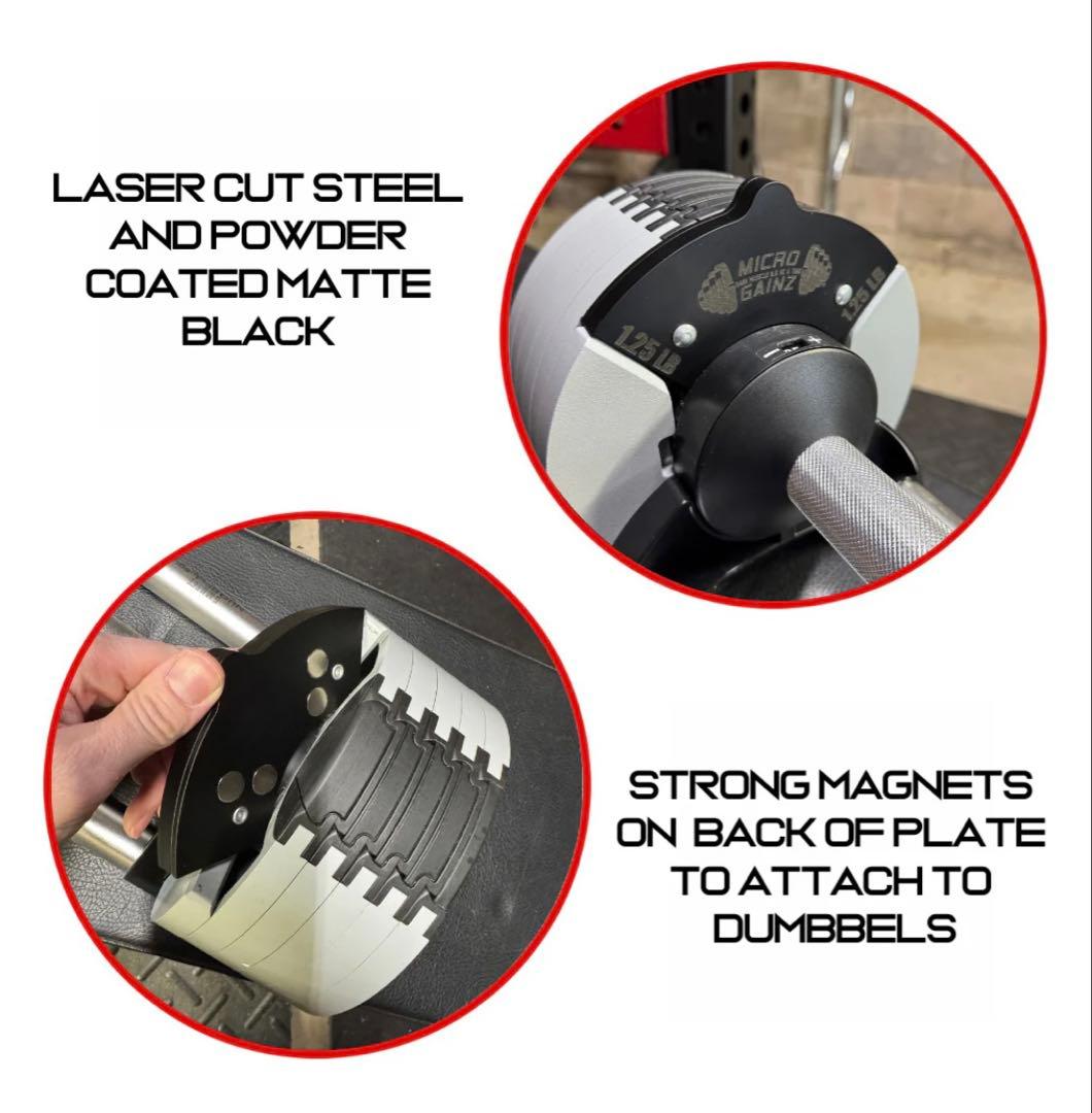 MICRO GAINZ 1.25LB マグネット式 NUOBELL 調節用