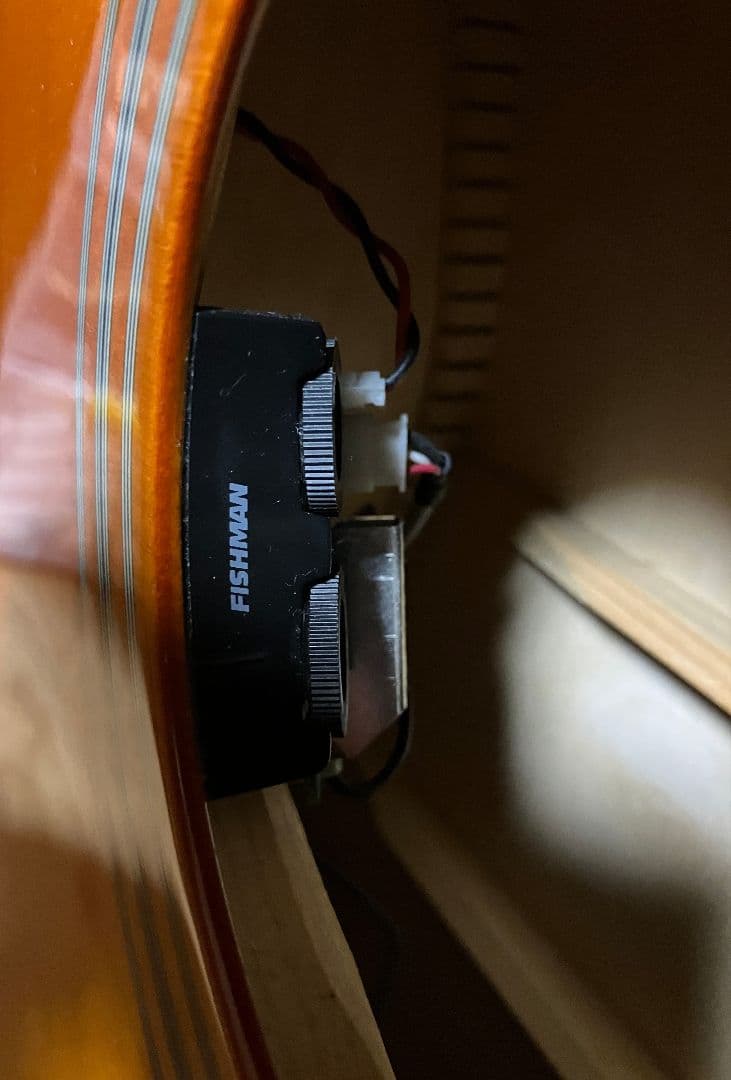 Epiphone Dove PRO エレアコ