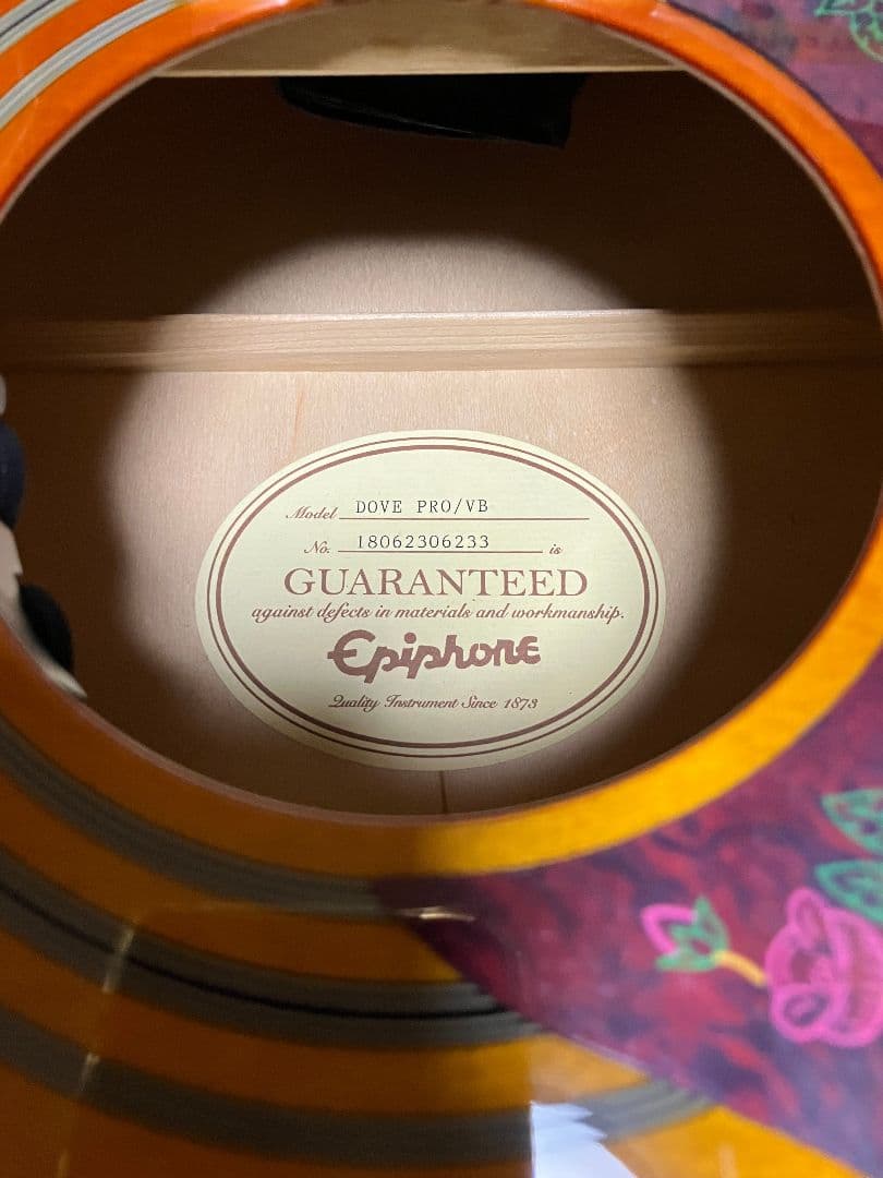 Epiphone Dove PRO エレアコ