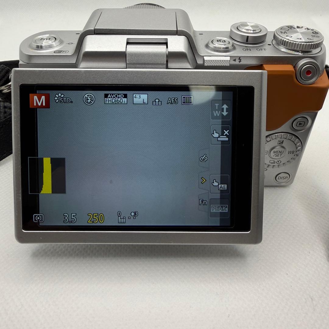 LUMIX ミラーレス一眼カメラ 25-100mmレンズ付き DMC-GF7