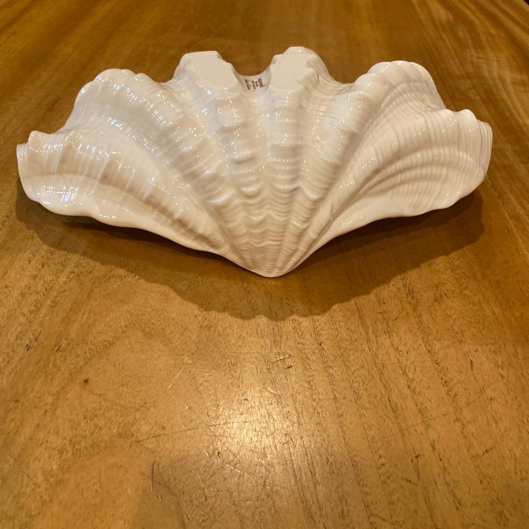  ウェッジウッド シェルプレート プレート