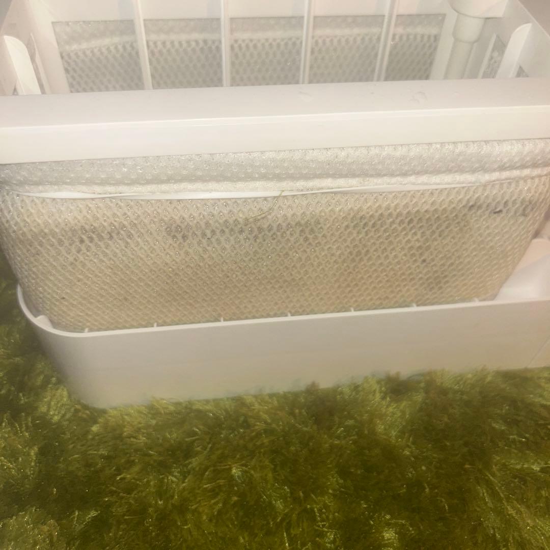 SwitchBot 気化式加湿器 フィルター汚れ／本体美品・洗浄済み