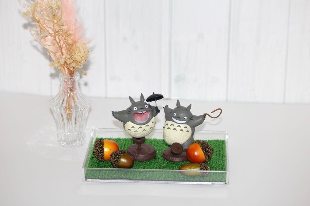 大人気　望遠レンズ　Canon EF-S 55-250mm IS 手ブレ補正