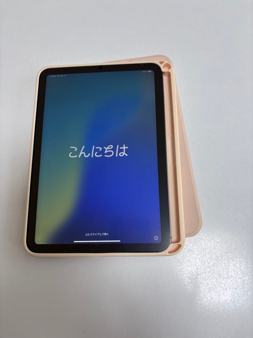 Apple 2021 iPad mini スペースグレイ　 256GB