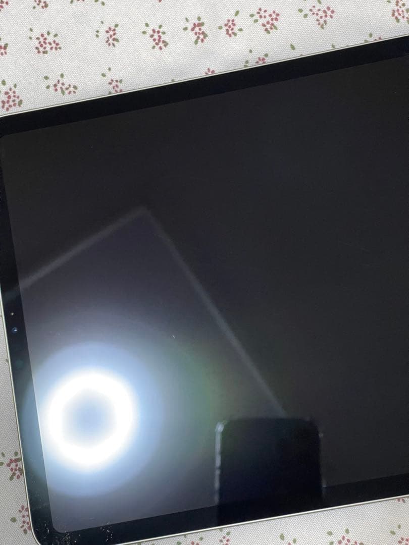 iPad Pro 11インチ ( 第2世代) 256GB WiFi