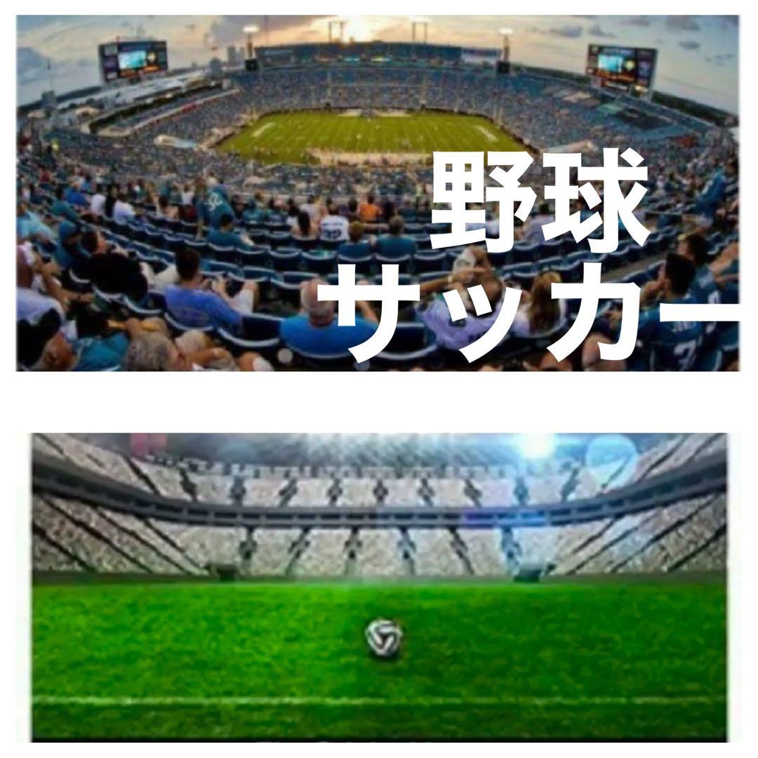 Canon EOSR50などに最適！Rシリーズ対応 望遠レンズ　サードパーティ製