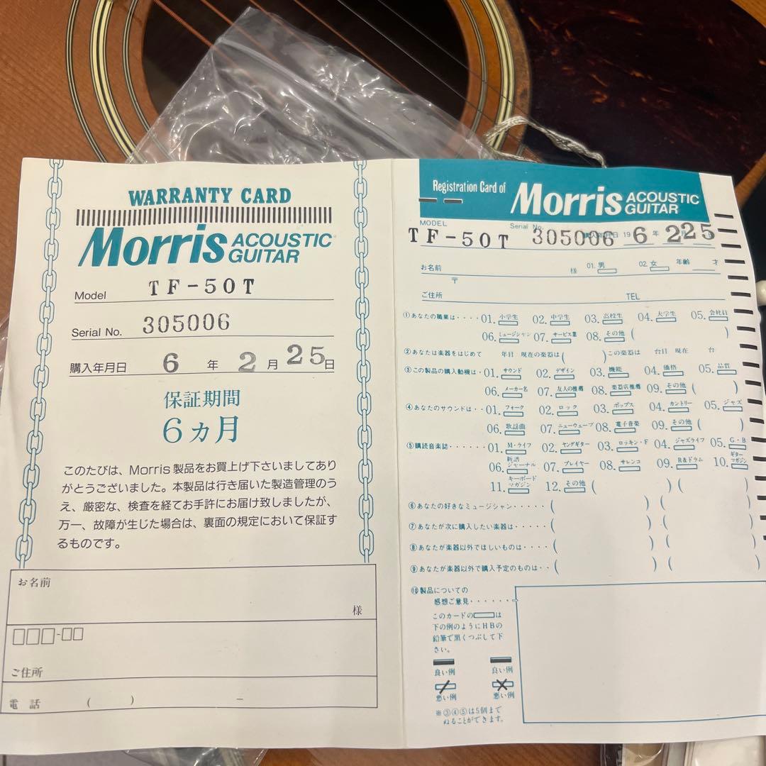 Morris TF-50T アコースティックギター サンバースト