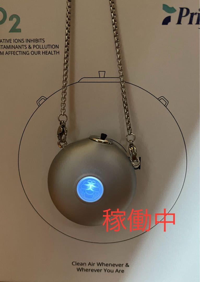 #値下げ 2/24#携帯空気清浄機　イオンシールド　シルバー