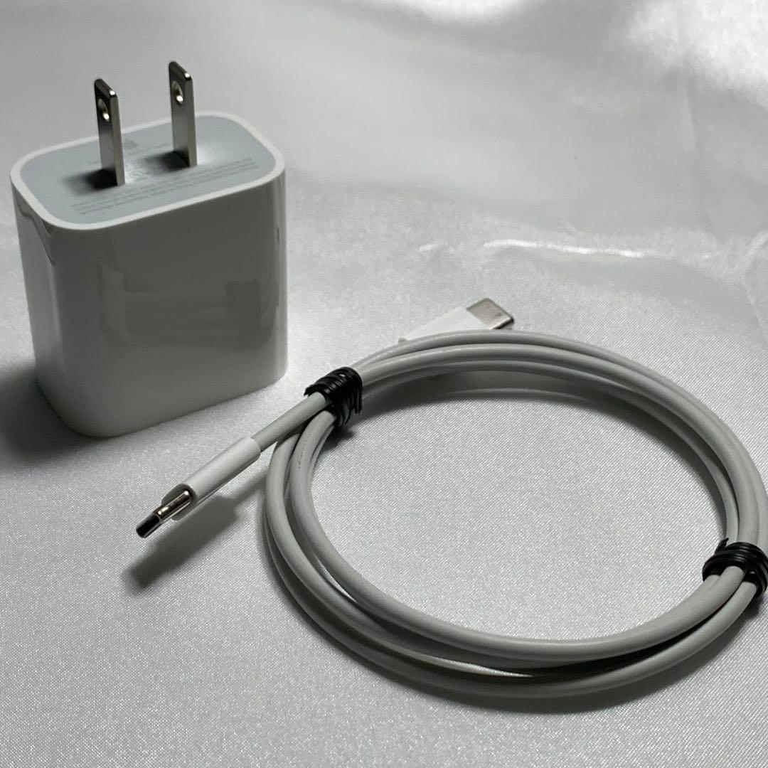 iPad Pro 11インチ (第1世代) Wi-Fi 64GB シルバー