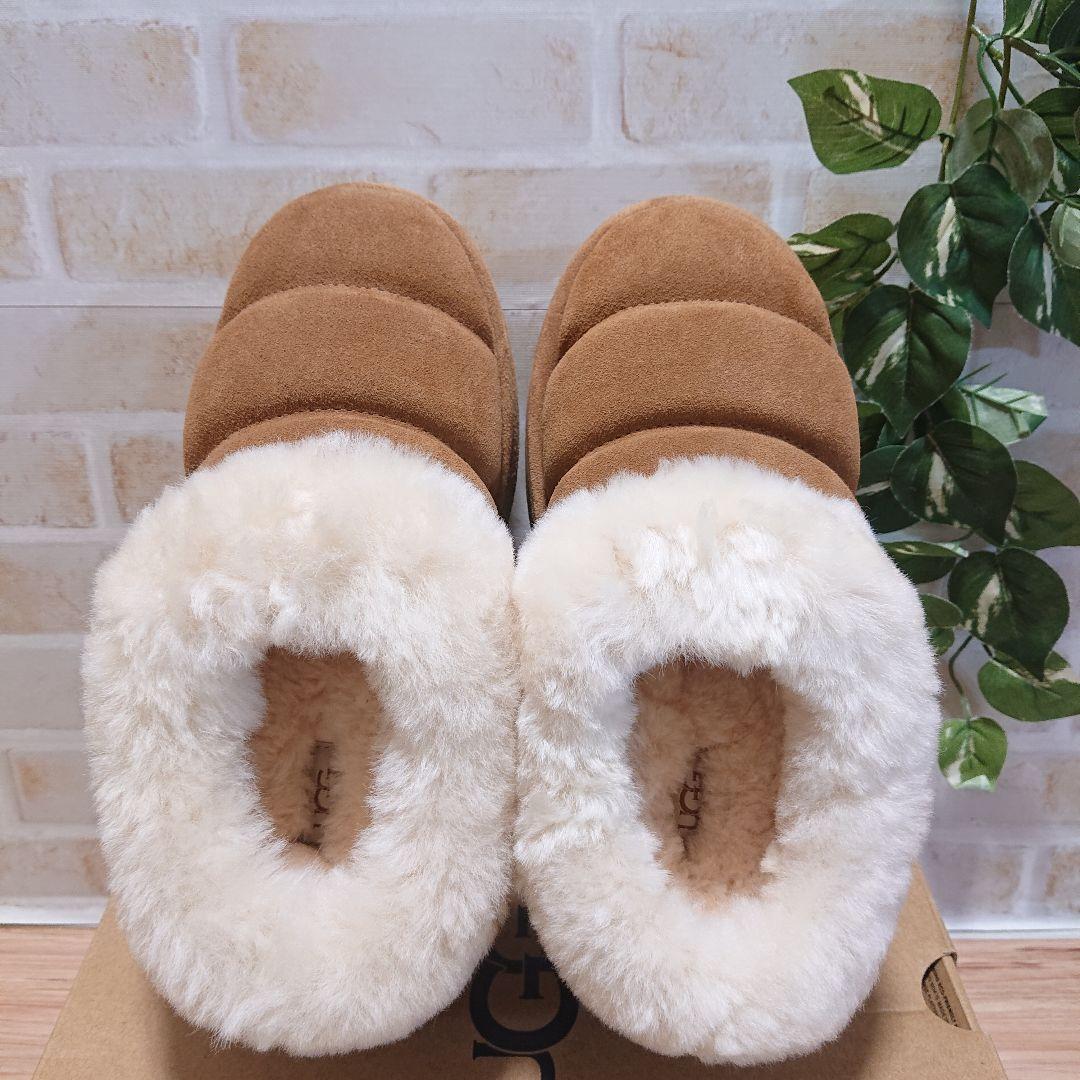 UGG アグ　Tazzlita　タズリータ チェスナット 22cm 厚底 新品