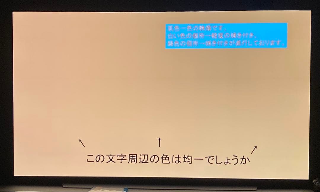 T*A様 難ありLG 有機ELテレビ OLED65C9PJA 65インチ 202