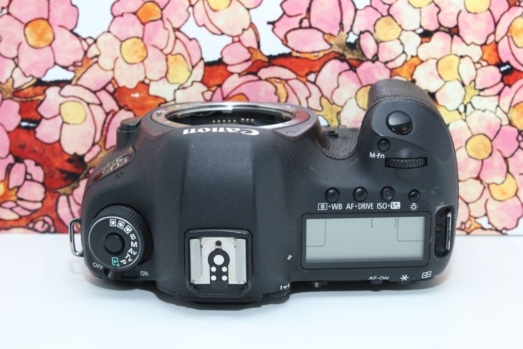 ❤堅牢の5D系列❤キヤノン EOS 5D mark Ⅲ❤️
