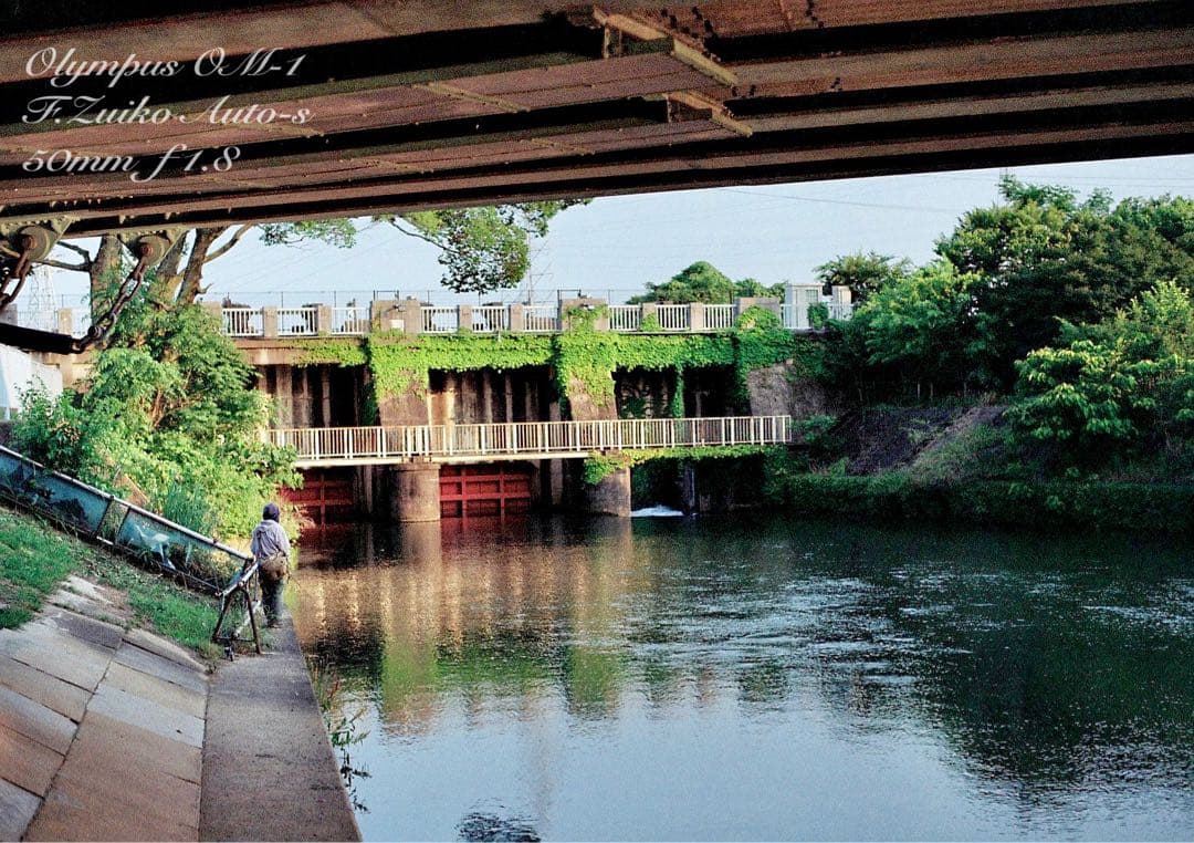 OM-1/zuiko 50mm f1.8★完動品・美品・初期保証！