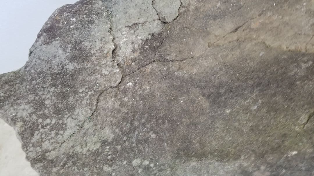 極希少品★高級つくばい 手水鉢 睡蓮鉢 大型水鉢 オリジナル　リーフ型　引取三重