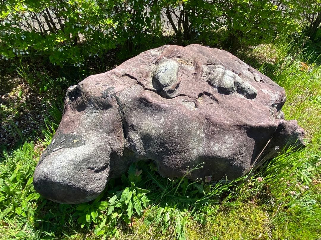 紫灰色 庭石 大 自然石 約130×70×55㎝【石川県引き取り】まとめ割