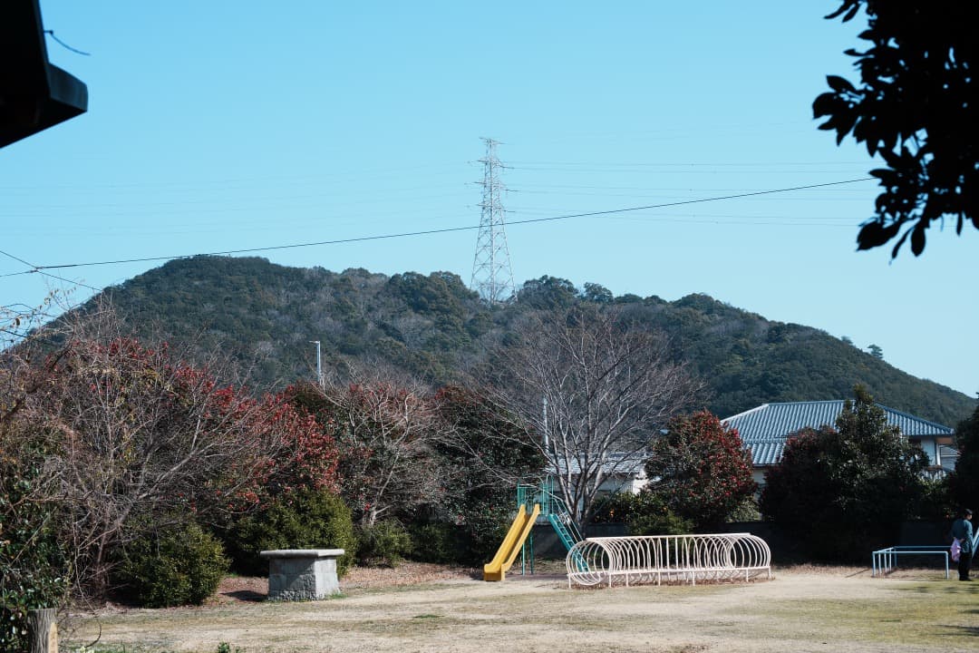 【極美品】動作◎ ニコン　Ai Nikkor 50mm F1.4 223