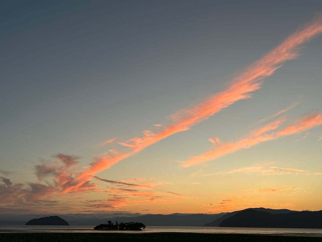 確認用　大雪ドライブ　長浜城　愛犬　玉玉　トラ