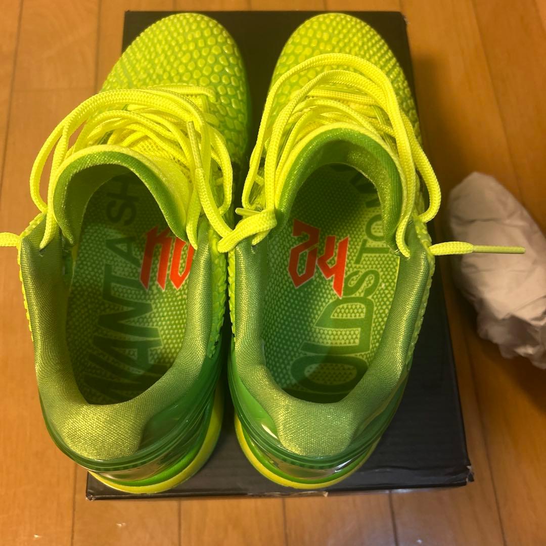 シューズ(男性用) nike Kobe 6 Protro Grinch 26cm