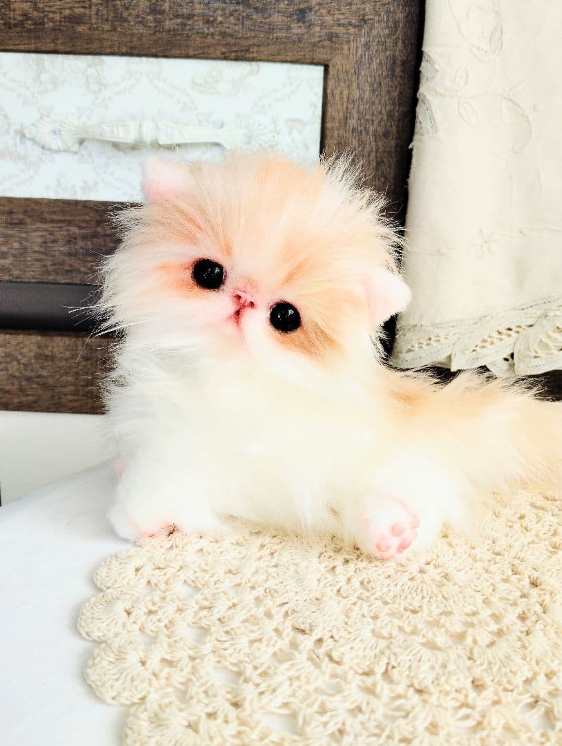 子猫のメイちゃん♡エキゾチックロングヘア♡アートドール♡ぬいぐるみ♡