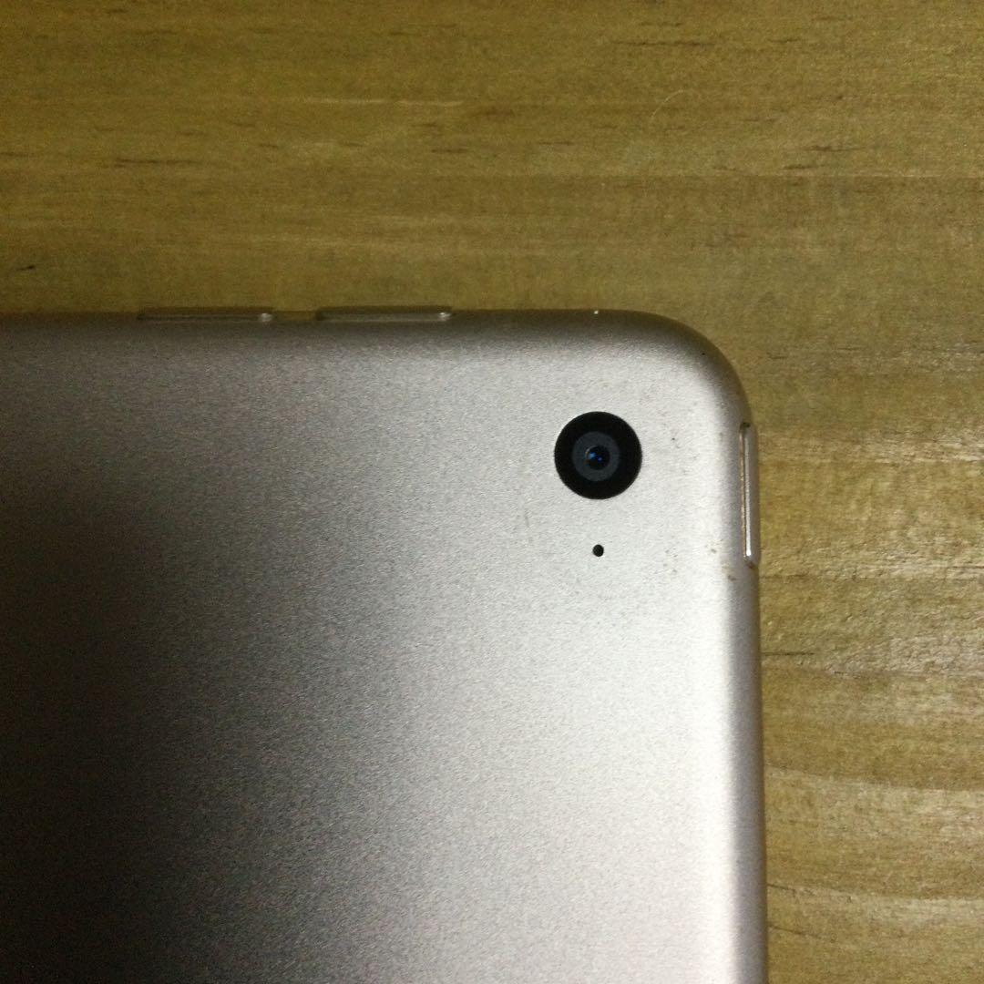 Apple iPad Air2 16GB ゴールドWi-Fi本体のみ（箱付き）