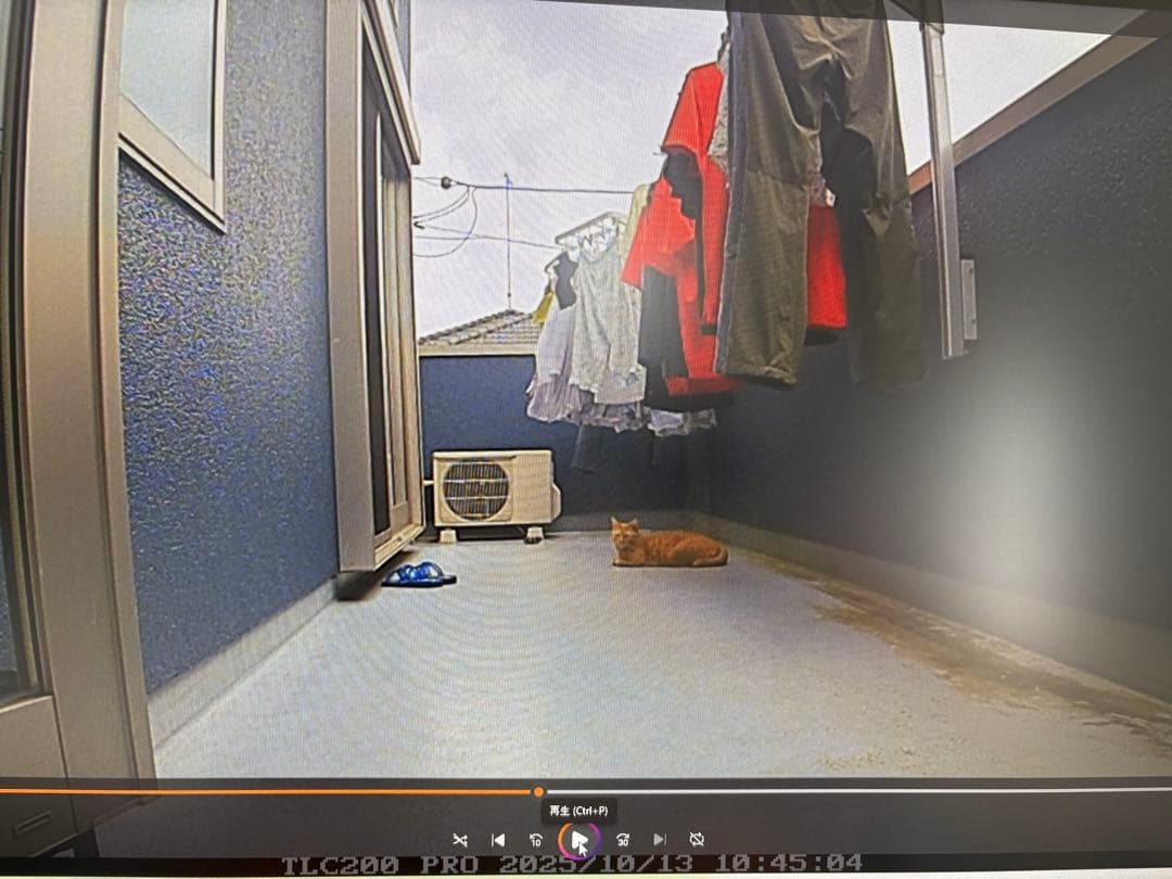 Brinno TLC200Pro ＋ ケース付き