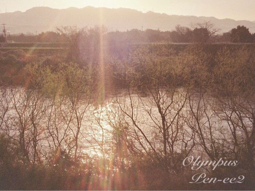 ★完動品＊美品★olympus pen ee2★フィルムカメラ入門に！★本革外装