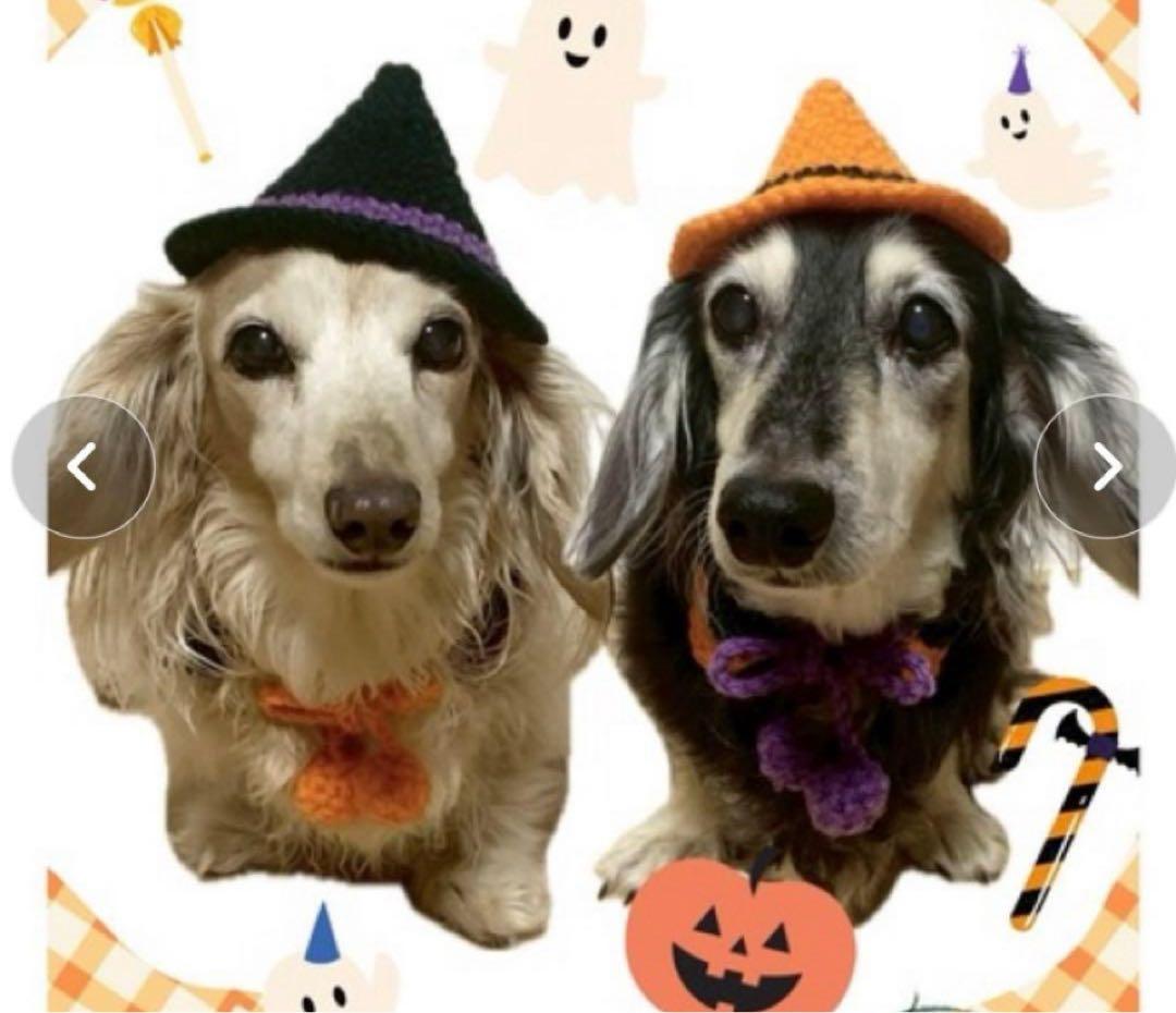 MocoHouse ハロウィン犬用帽子XSサイズ