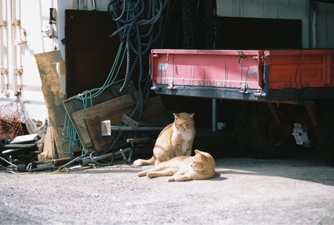 Nikon F3 HP 一眼レフカメラ