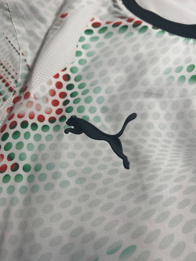 ポルトガル代表 オーセンティック Sサイズ