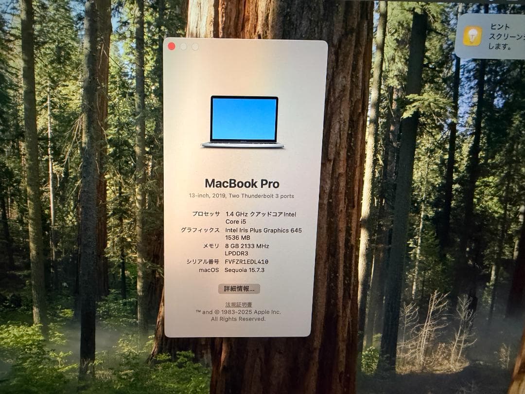 Mac Book Pro 2019 充放電回数170回 マックブックプロ　92