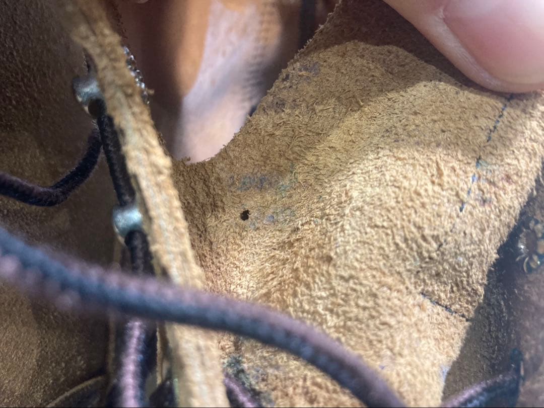 RED wing アウトレット　26.5