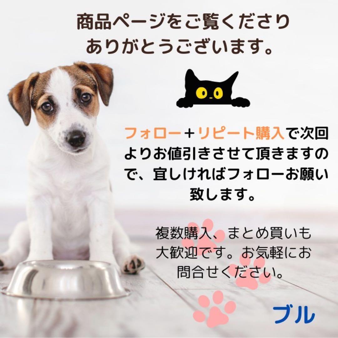 ソルビダ　グレインフリー　チキン　室内飼育体重管理　５．８キロ × ２個