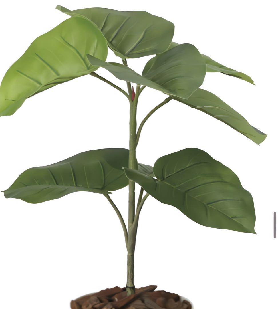 光触媒　人工観葉植物　ウォールグリーン　フェイクグリーン　ウンベラータ60