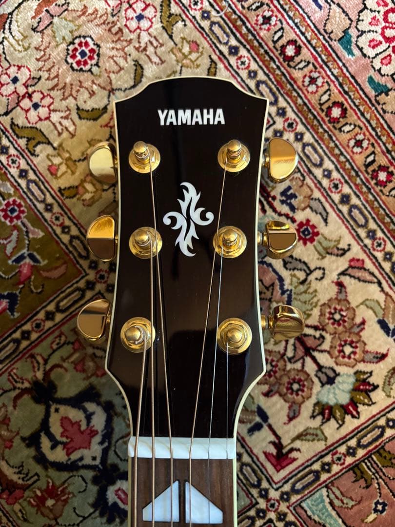 YAMAHA APX1000 エレアコの名器です。