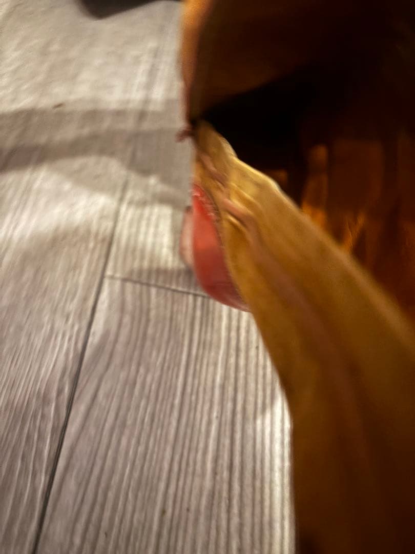 PRADA 1999年 ブーツカブトムシと落ち葉 24.5 プラダ